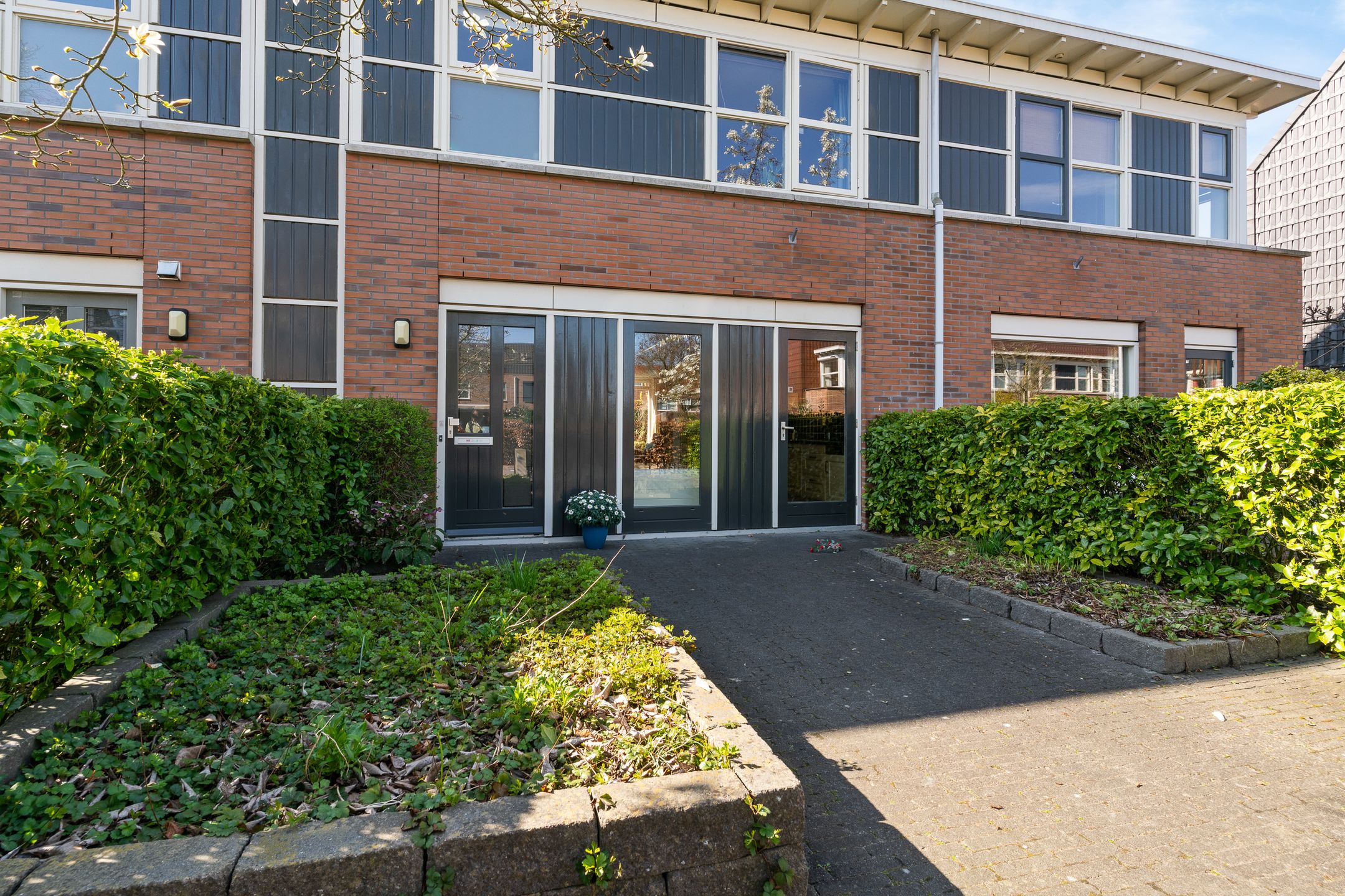 Foto 30 van Pijlstaartvlinder 32