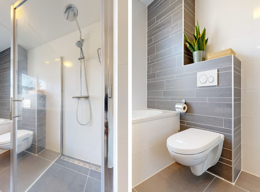 Foto 22 van Pijlstaartvlinder 32