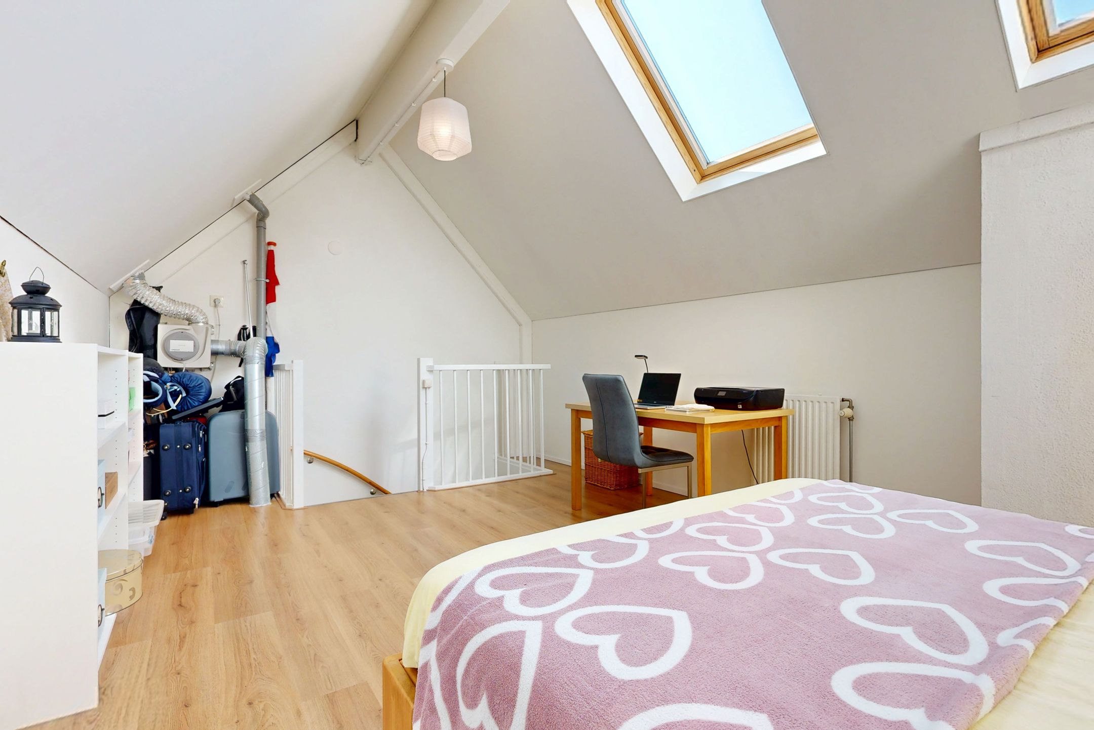 Foto 24 van Pijlstaartvlinder 32