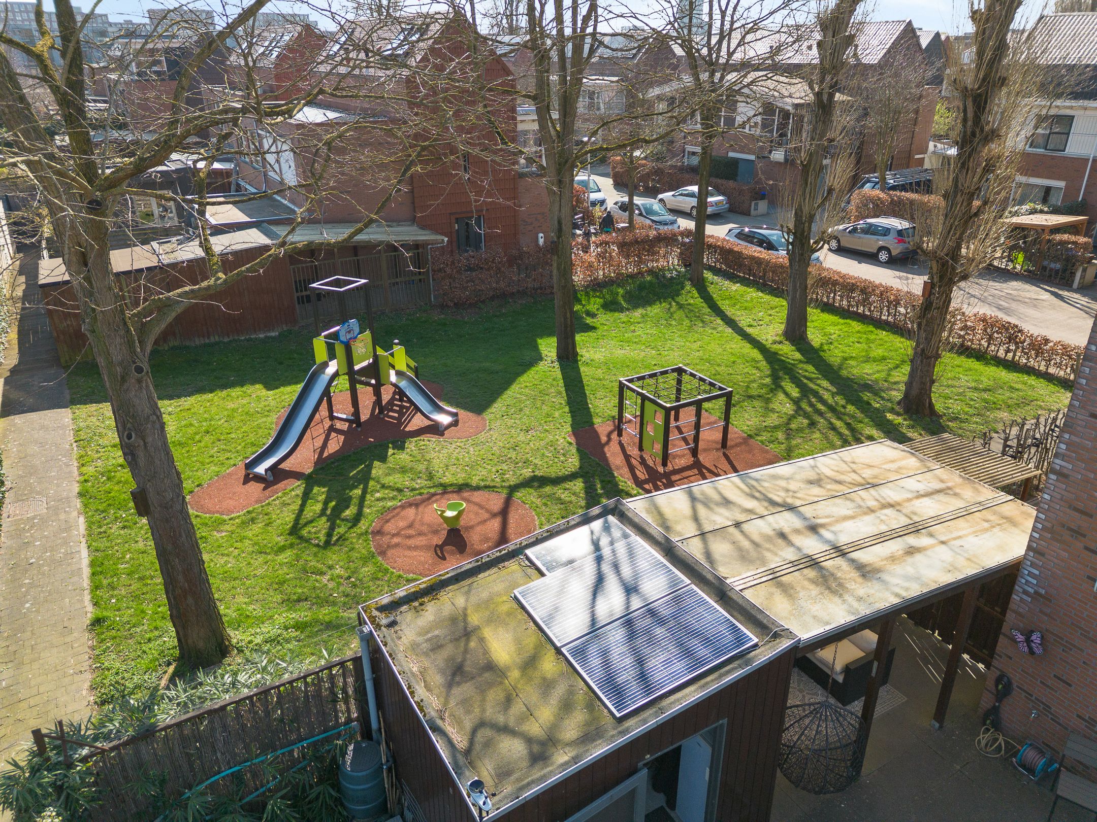 Foto 33 van Pijlstaartvlinder 32