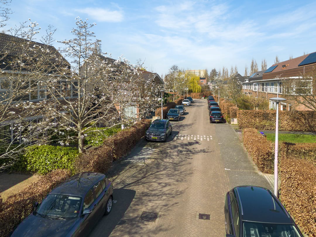 Foto 31 van Pijlstaartvlinder 32