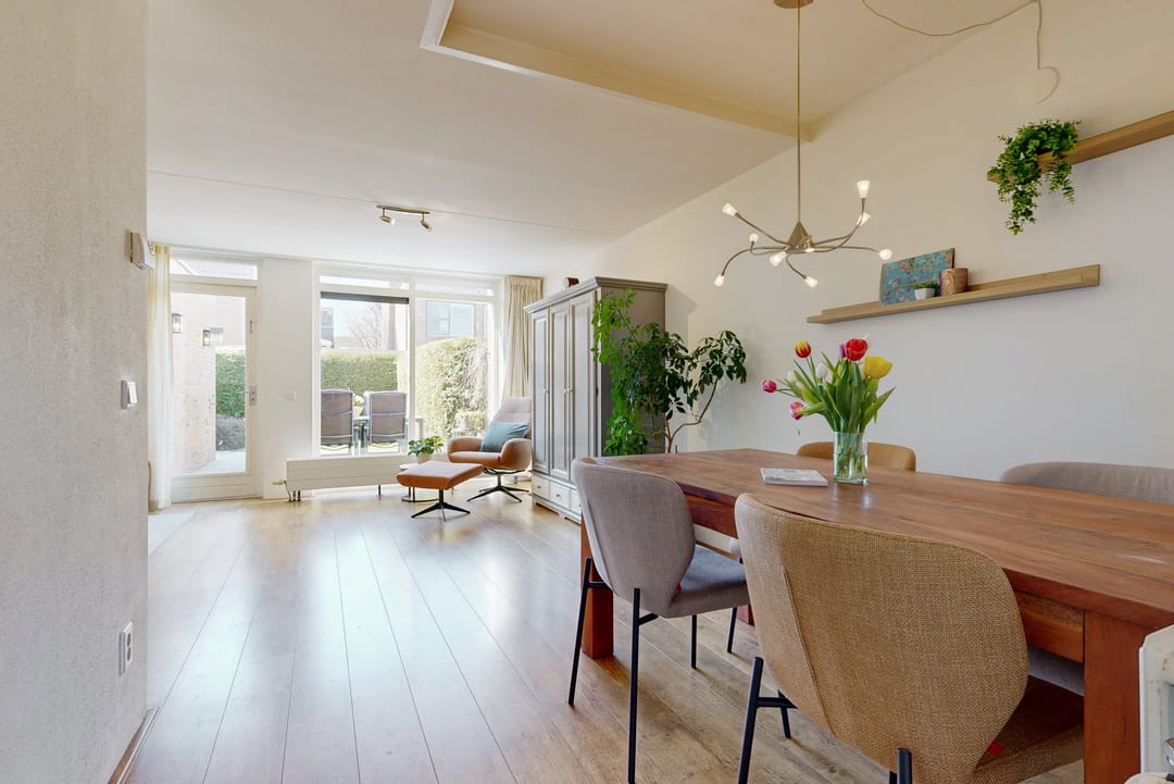 Foto 8 van Pijlstaartvlinder 32