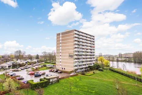 Aalscholversingel thumbnail