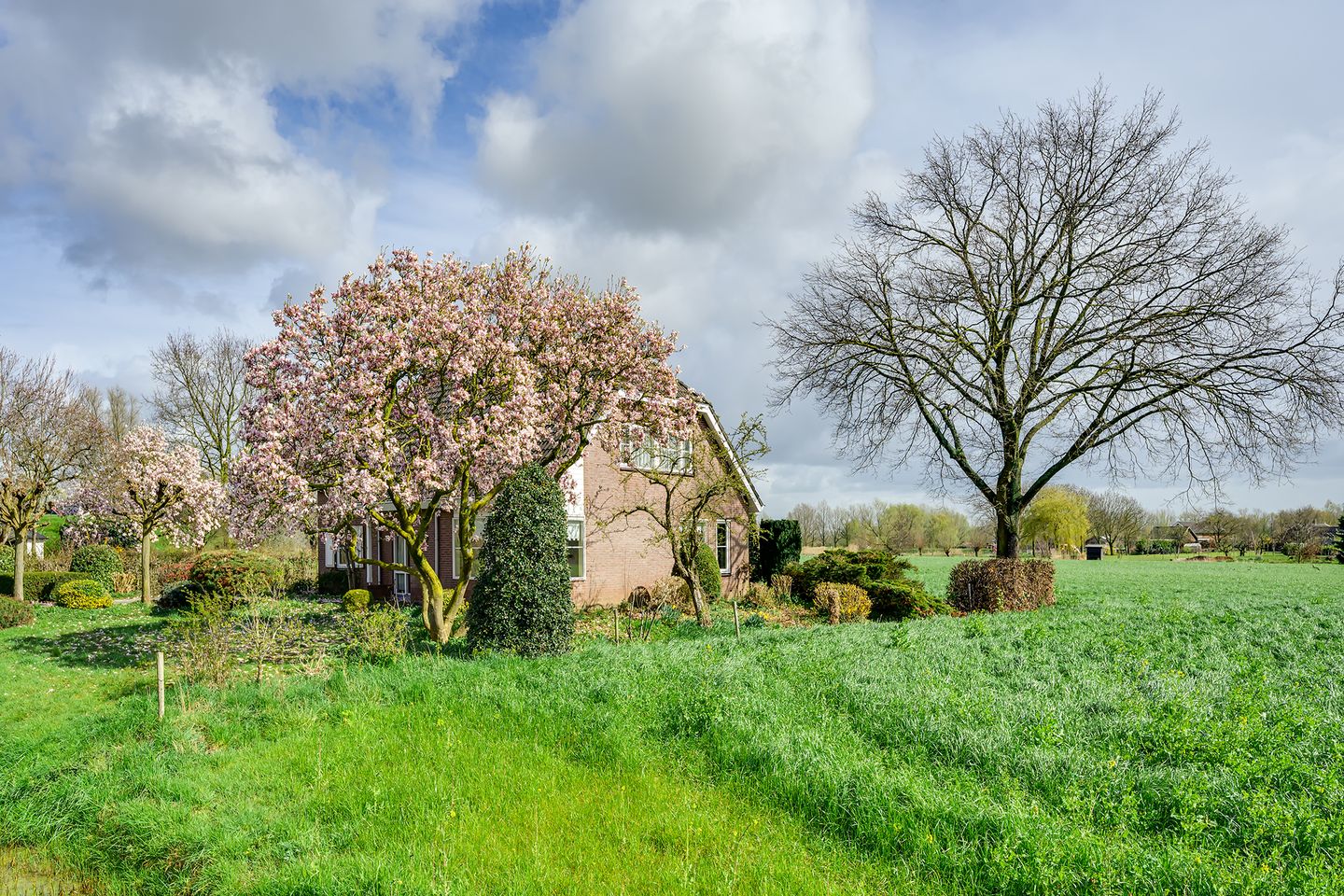 Foto 5 van Altena's Laantje 2-A