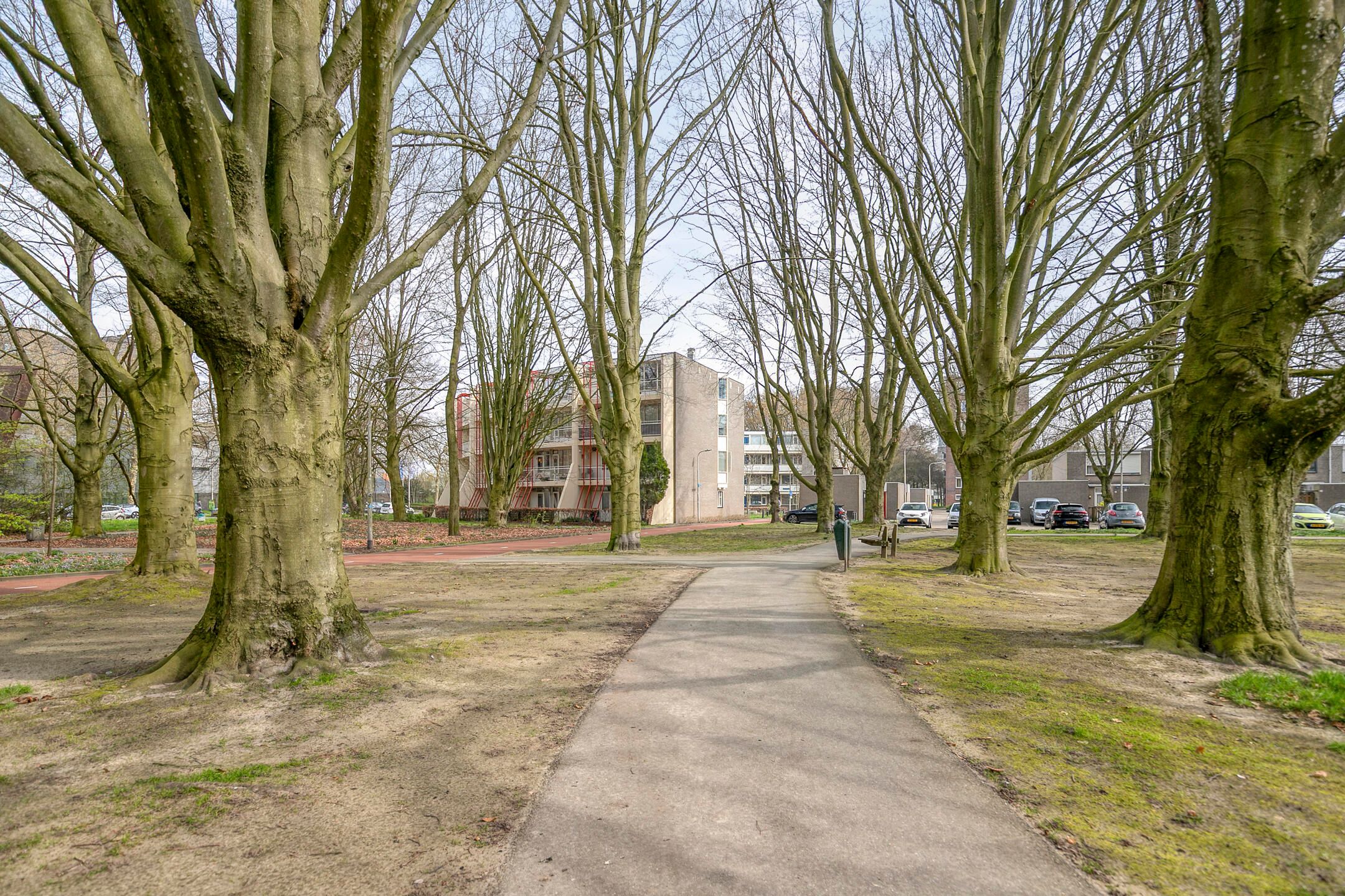 Foto 48 van Muiderslotstraat 33
