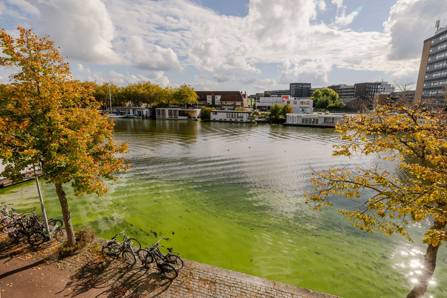 Foto 34 van Zuider Buiten Spaarne 158