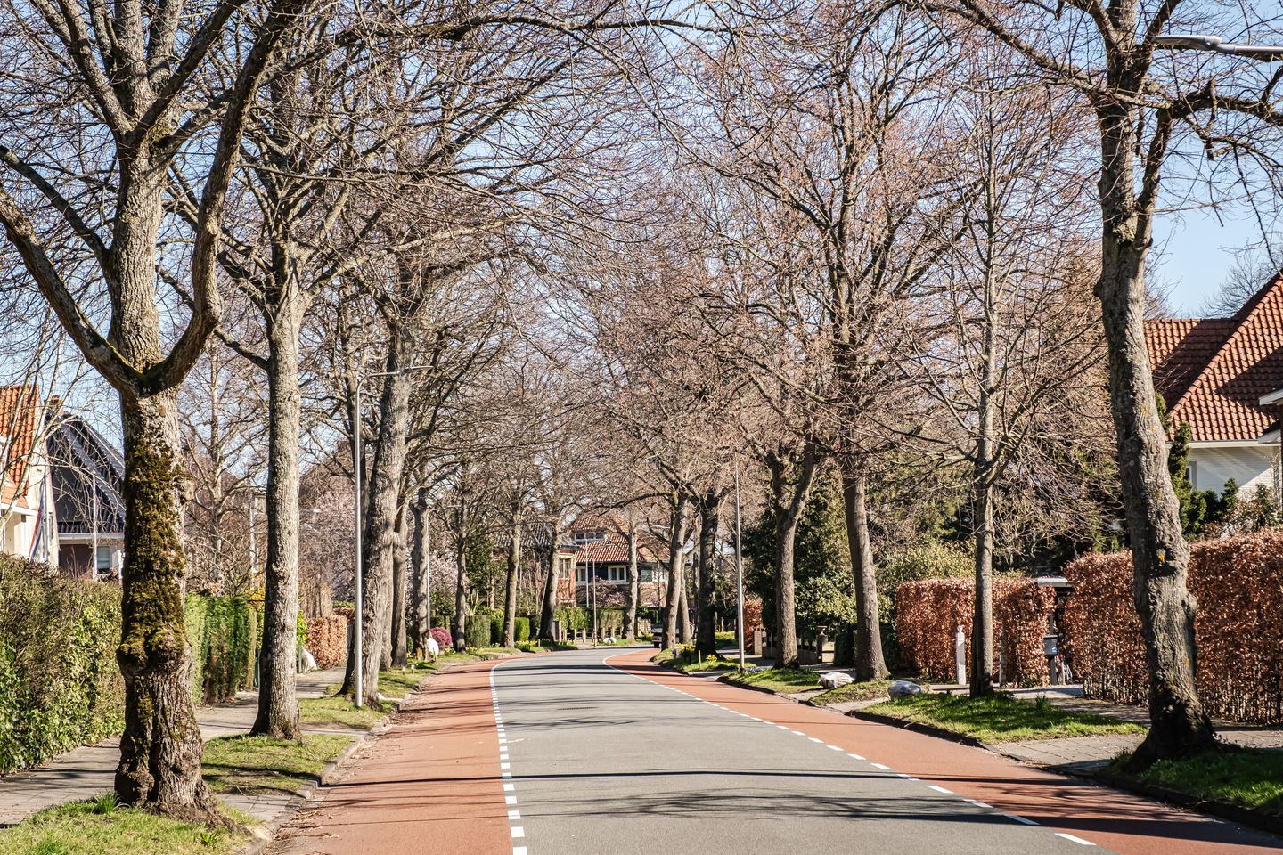 Foto 55 van Zonnebloemlaan 32