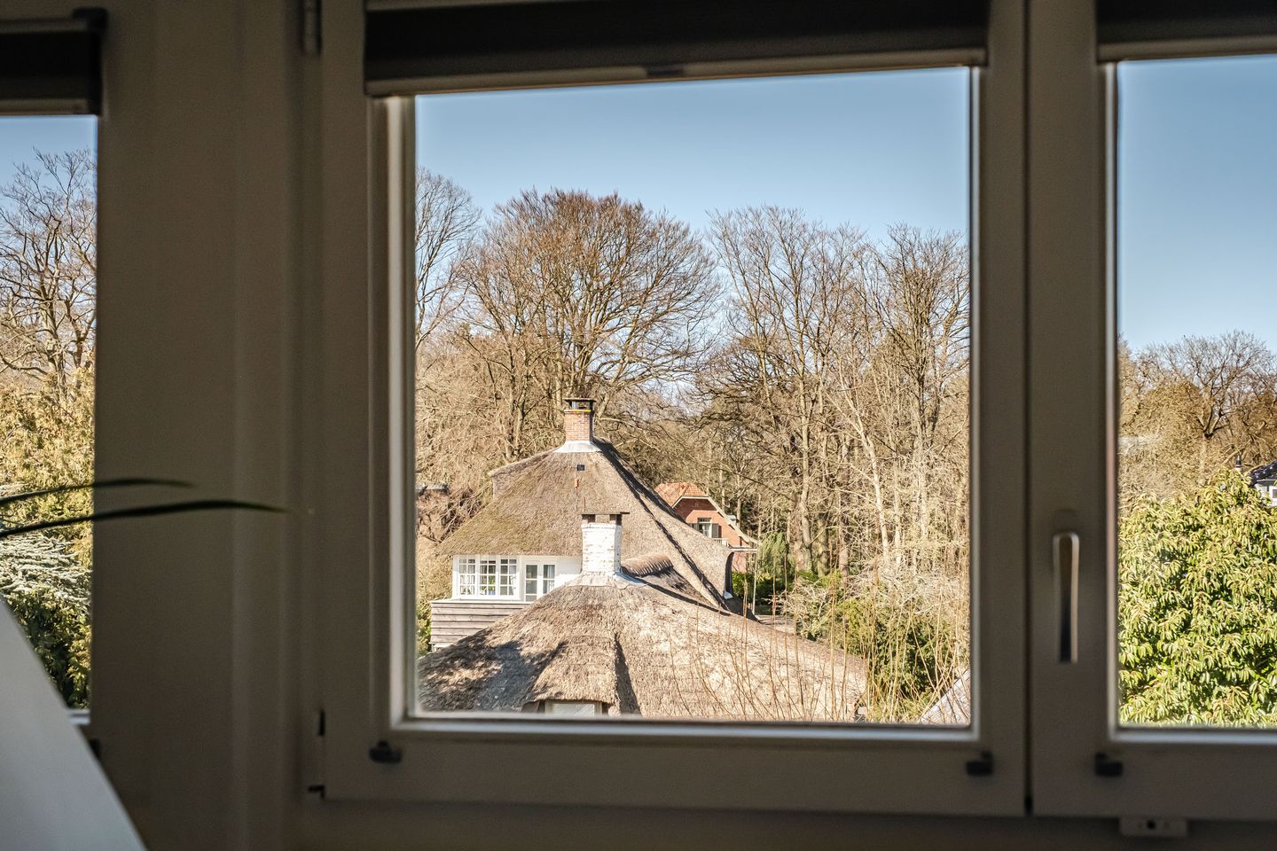 Foto 50 van Zonnebloemlaan 32