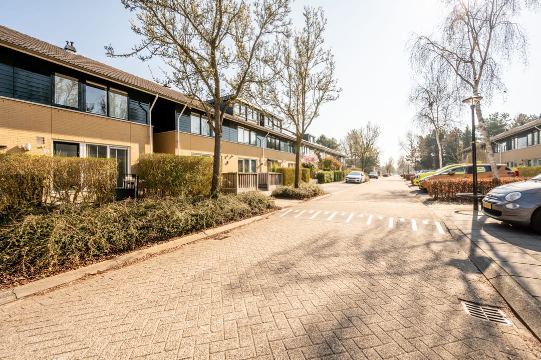 Foto 37 van Februaristraat 104