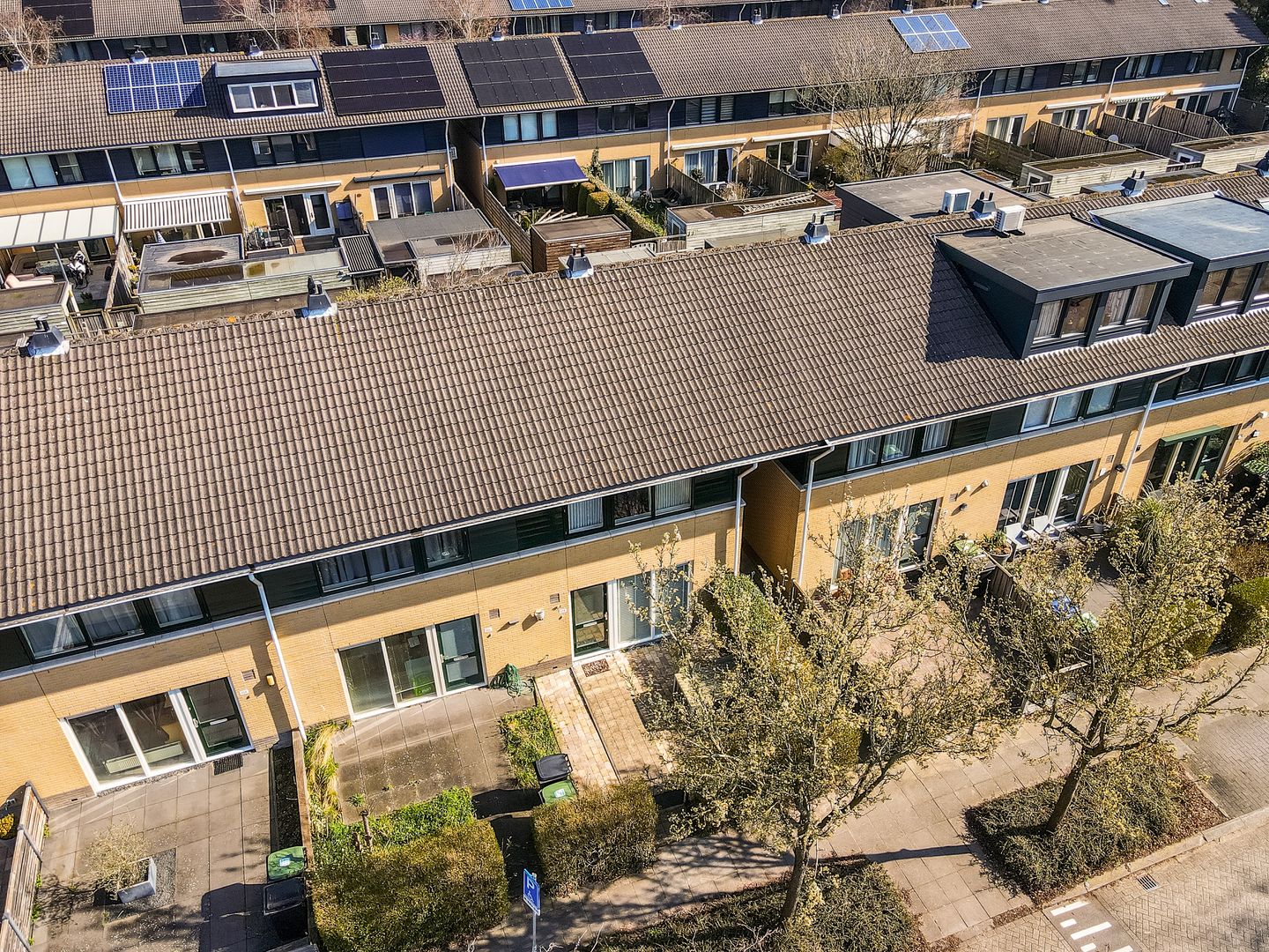 Foto 40 van Februaristraat 104