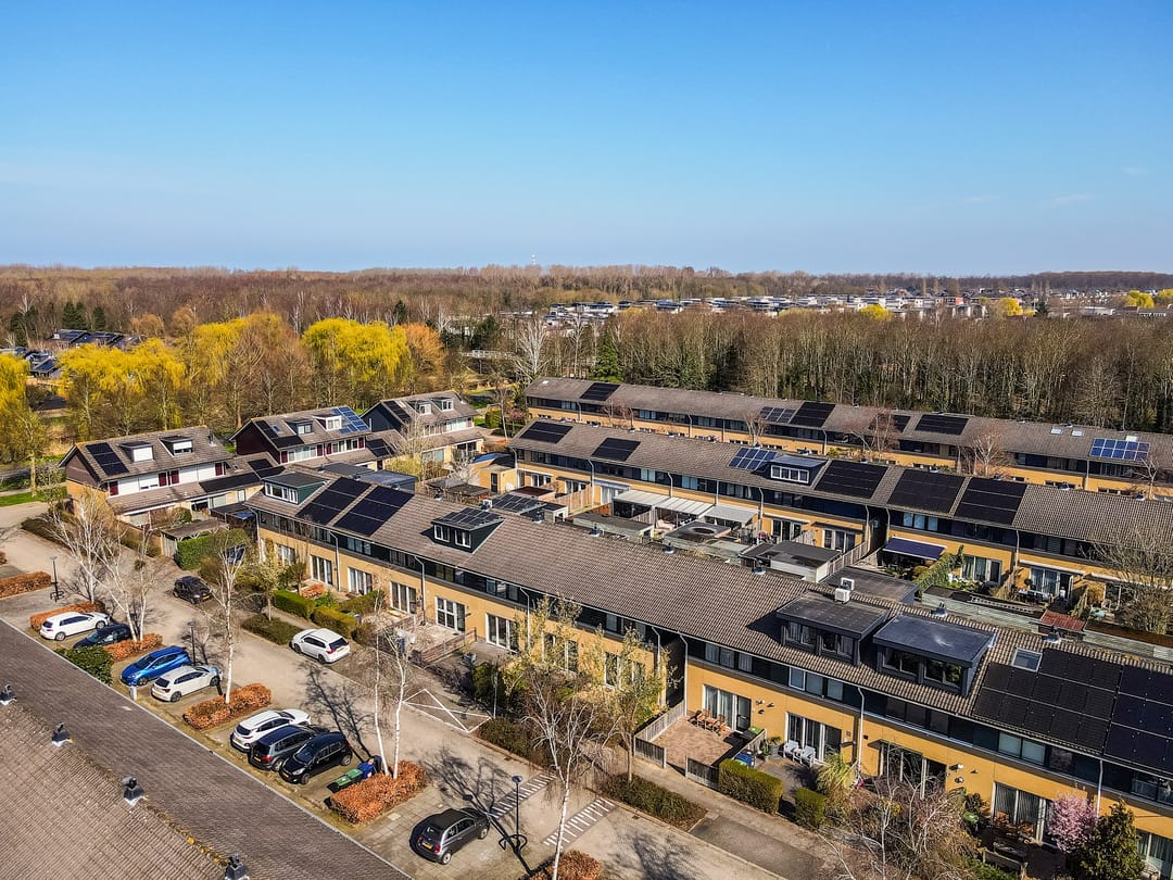 Foto 41 van Februaristraat 104