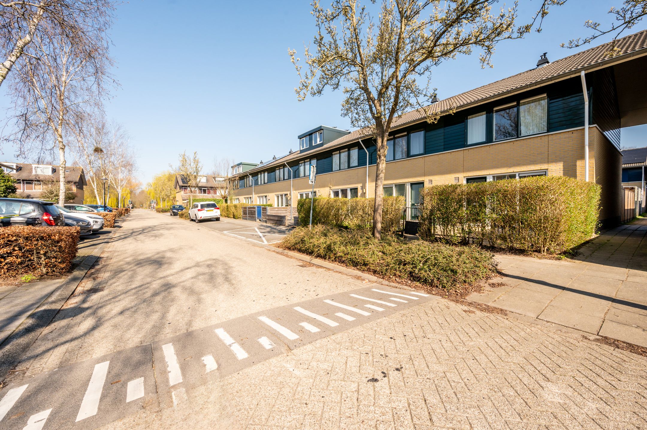 Foto 36 van Februaristraat 104