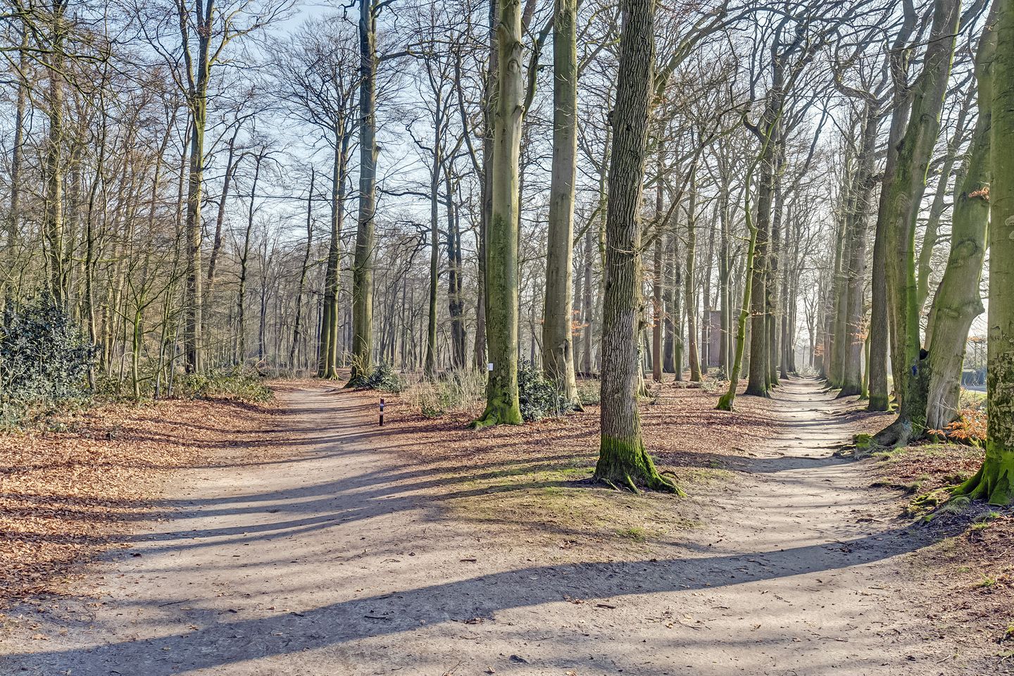 Foto 34 van Taets van Amerongenweg 48