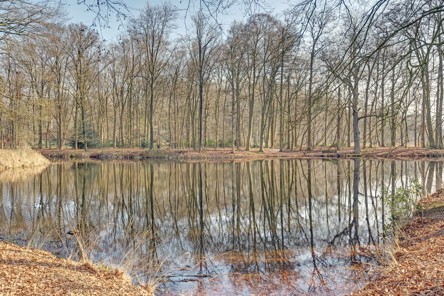 Foto 35 van Taets van Amerongenweg 48