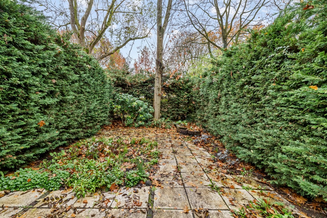 Foto 13 van Kelbergen 337