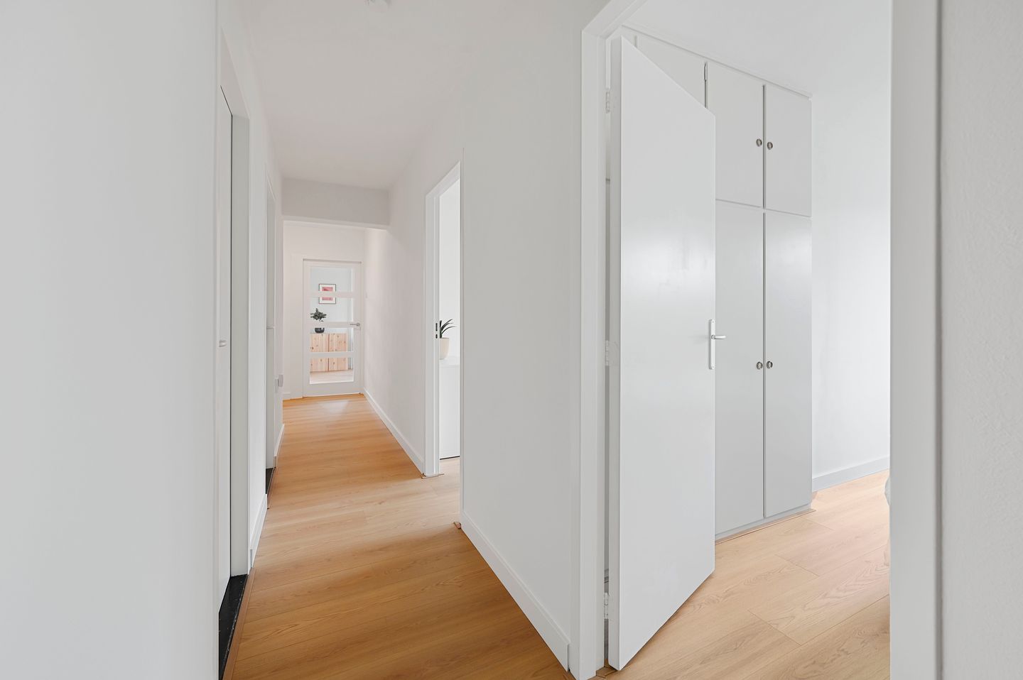 Photo 5 of Roggekamp 523