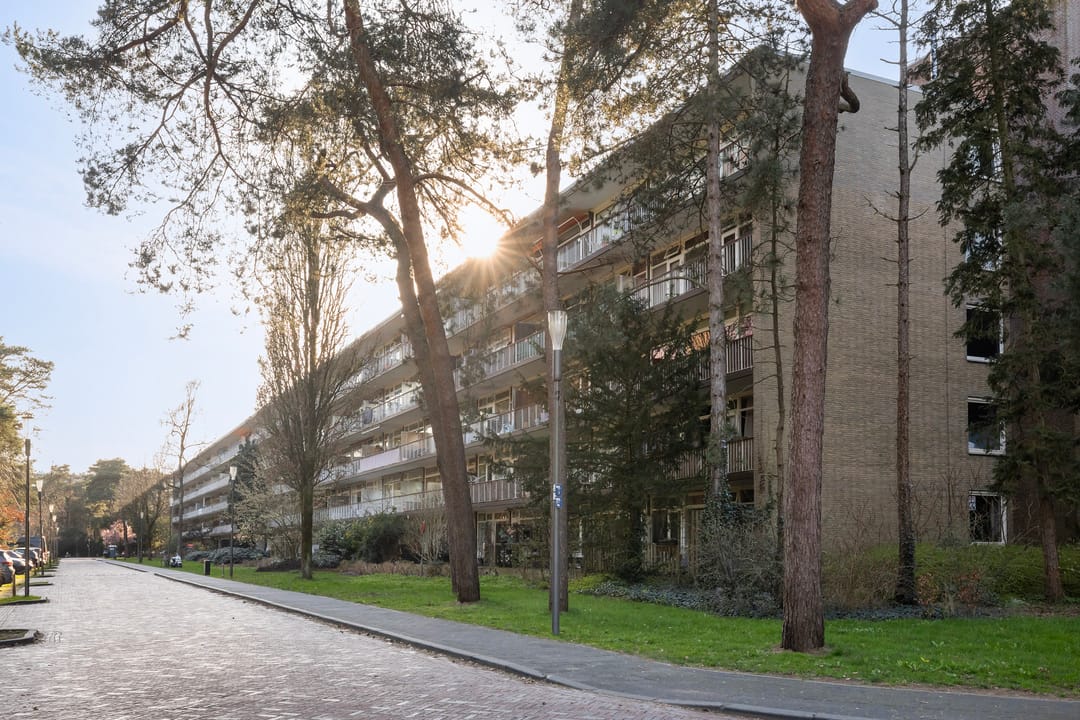 Foto 31 van Graaf Adolflaan 27-1