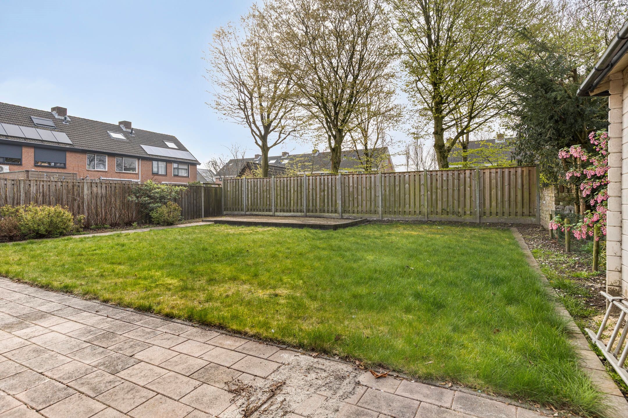 Photo 33 of Kluut 15