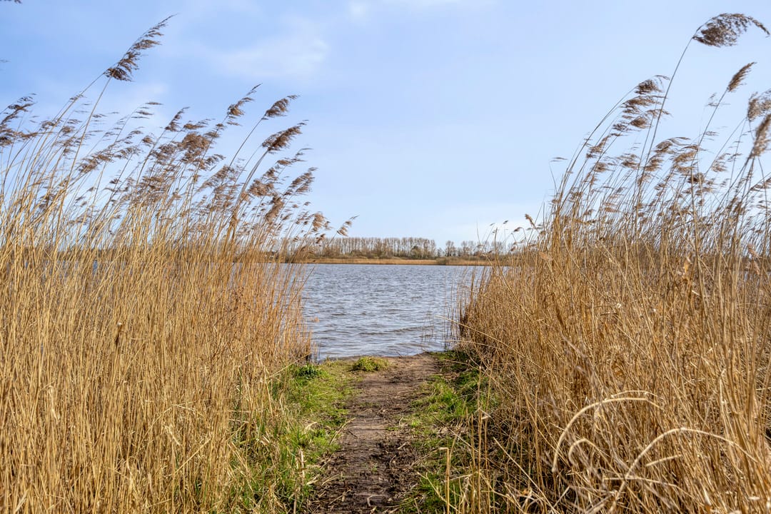 Foto 31 van Duinschooten 12-056