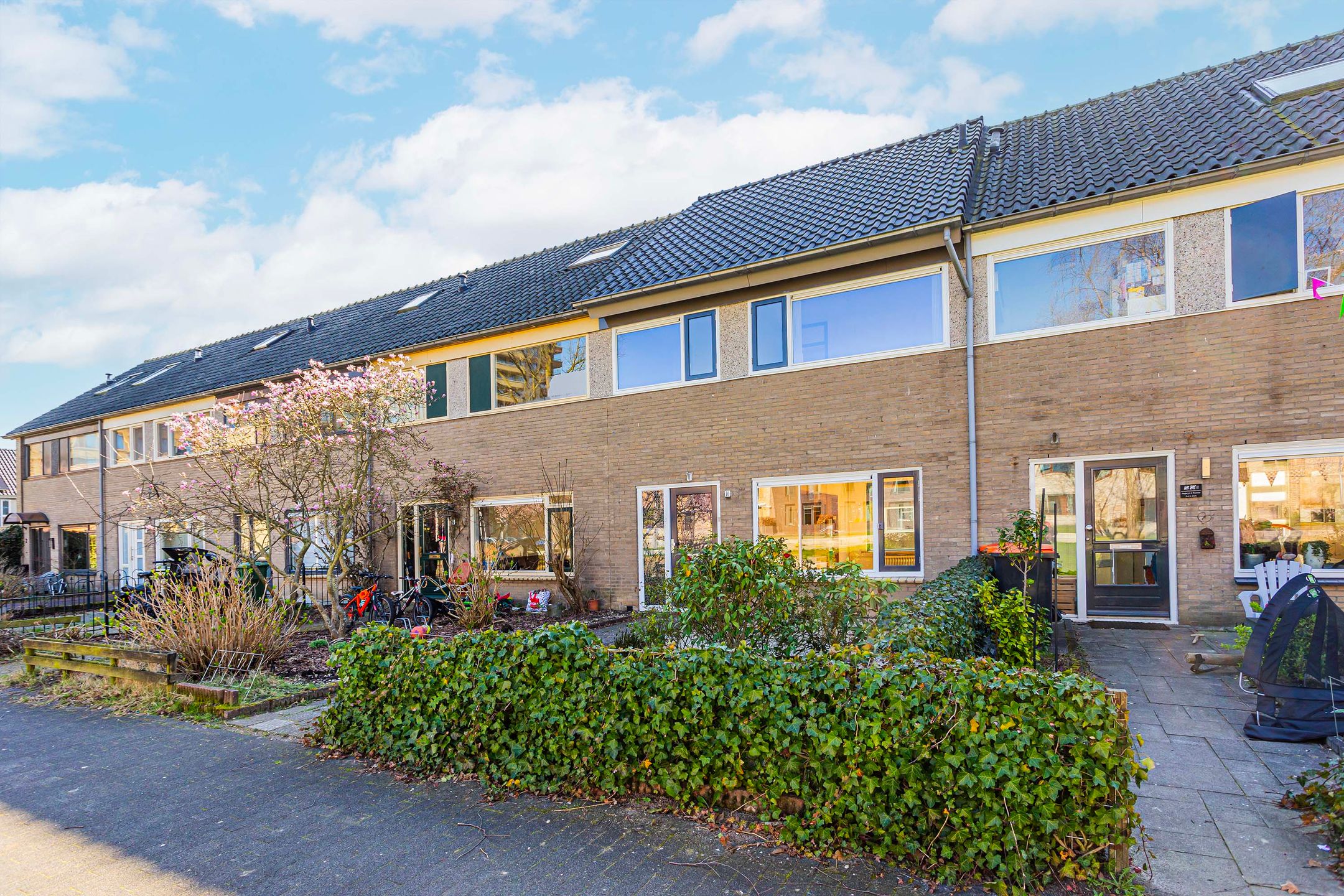 Photo 36 of Parsifalpad 10