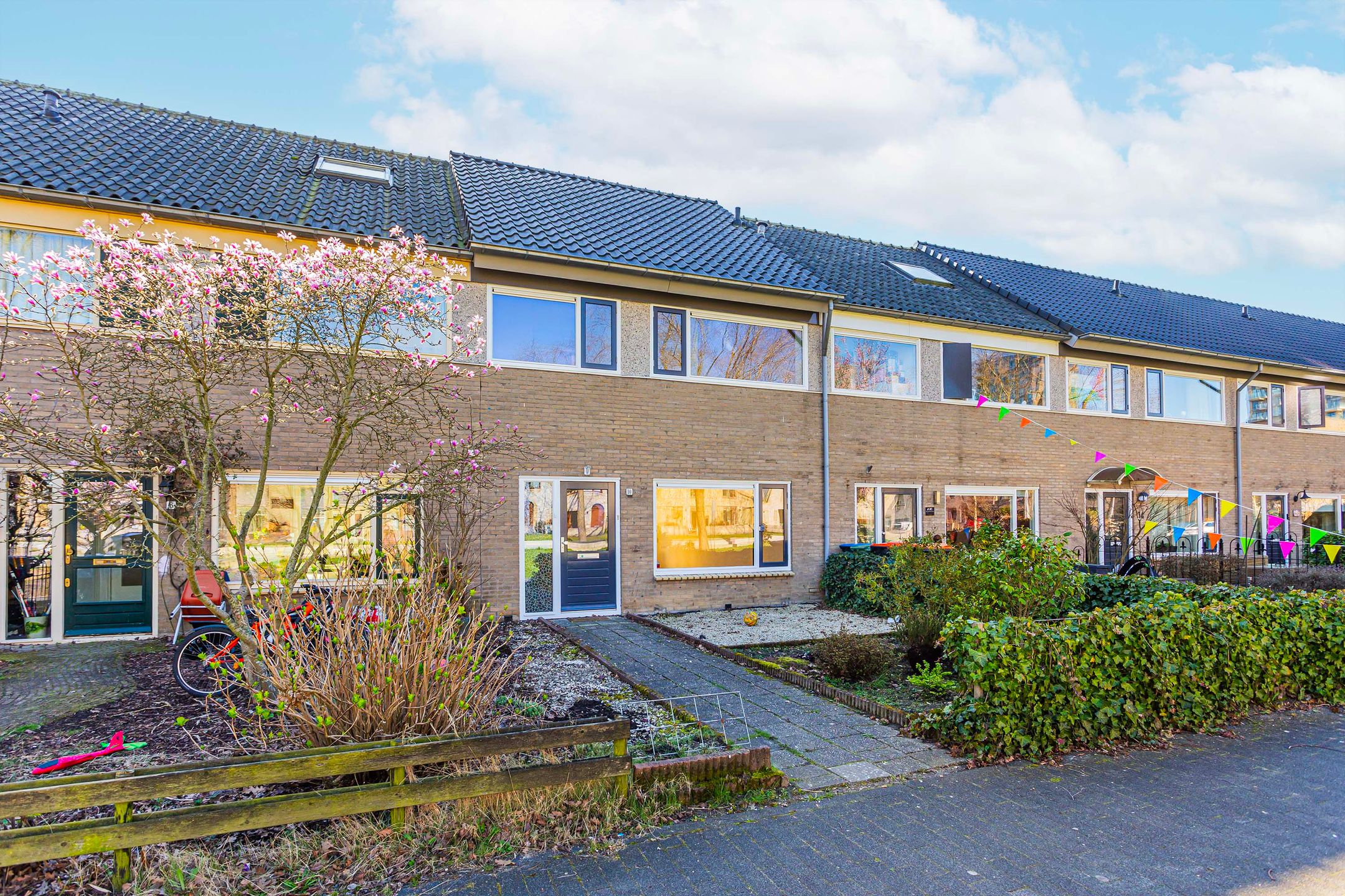 Photo 6 of Parsifalpad 10