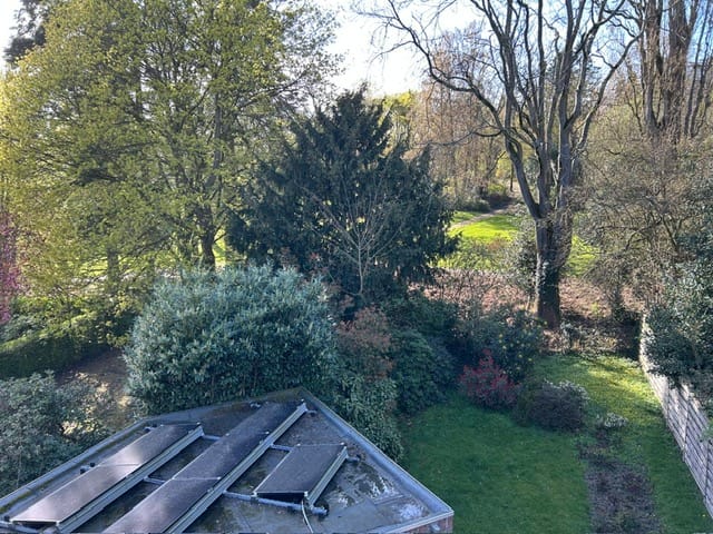 Foto 5 van Molenberglaan 81