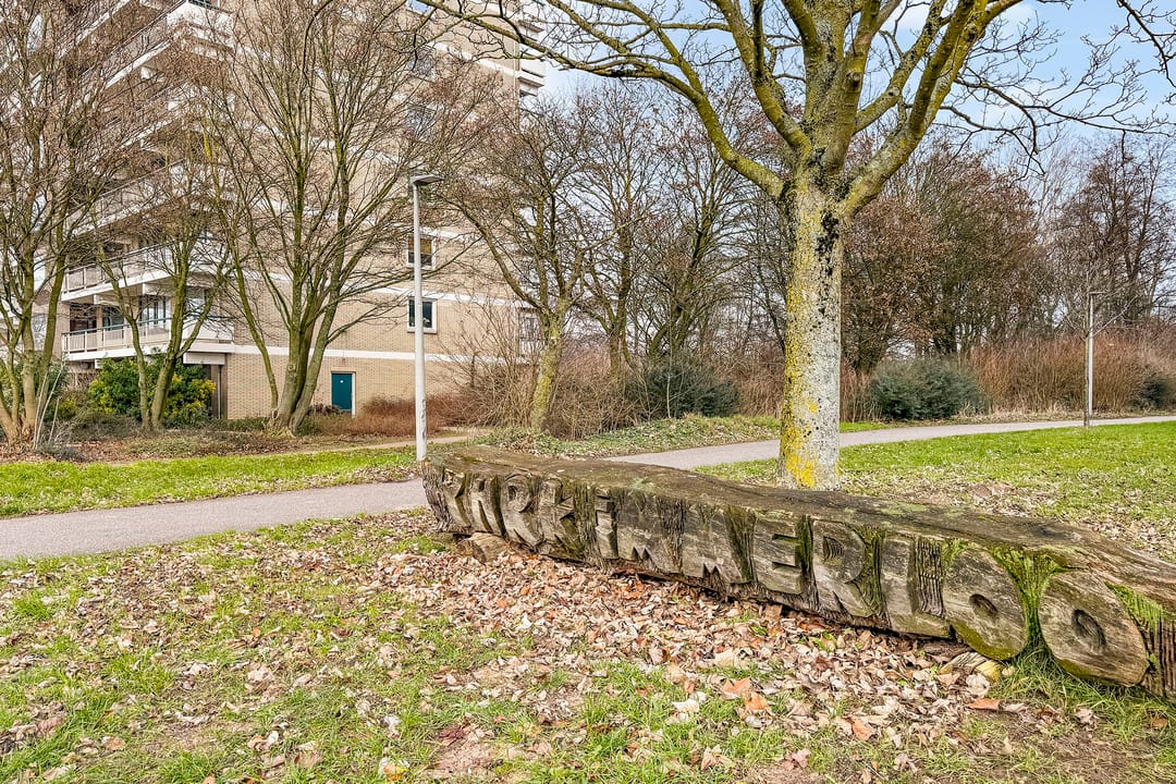 Photo 26 of Groningensingel 805