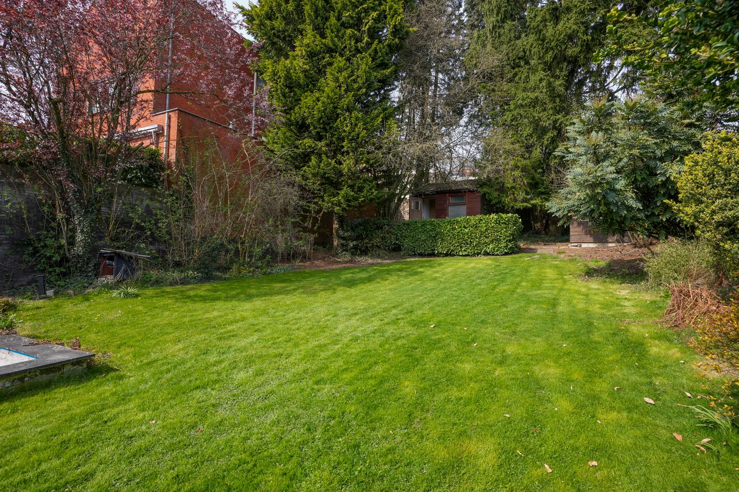 Foto 29 van Raadhuisstraat 22