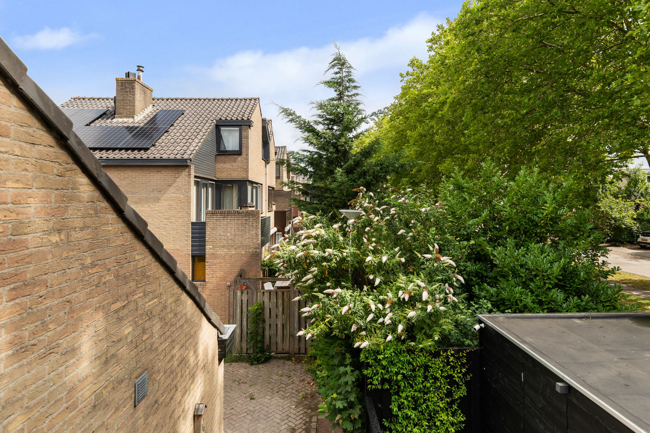 Foto 42 van Molenhoef 43