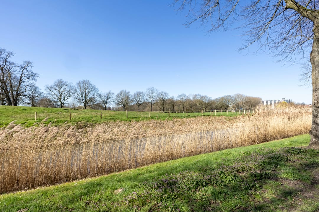 Foto 31 van Lagemorgenlaan 172