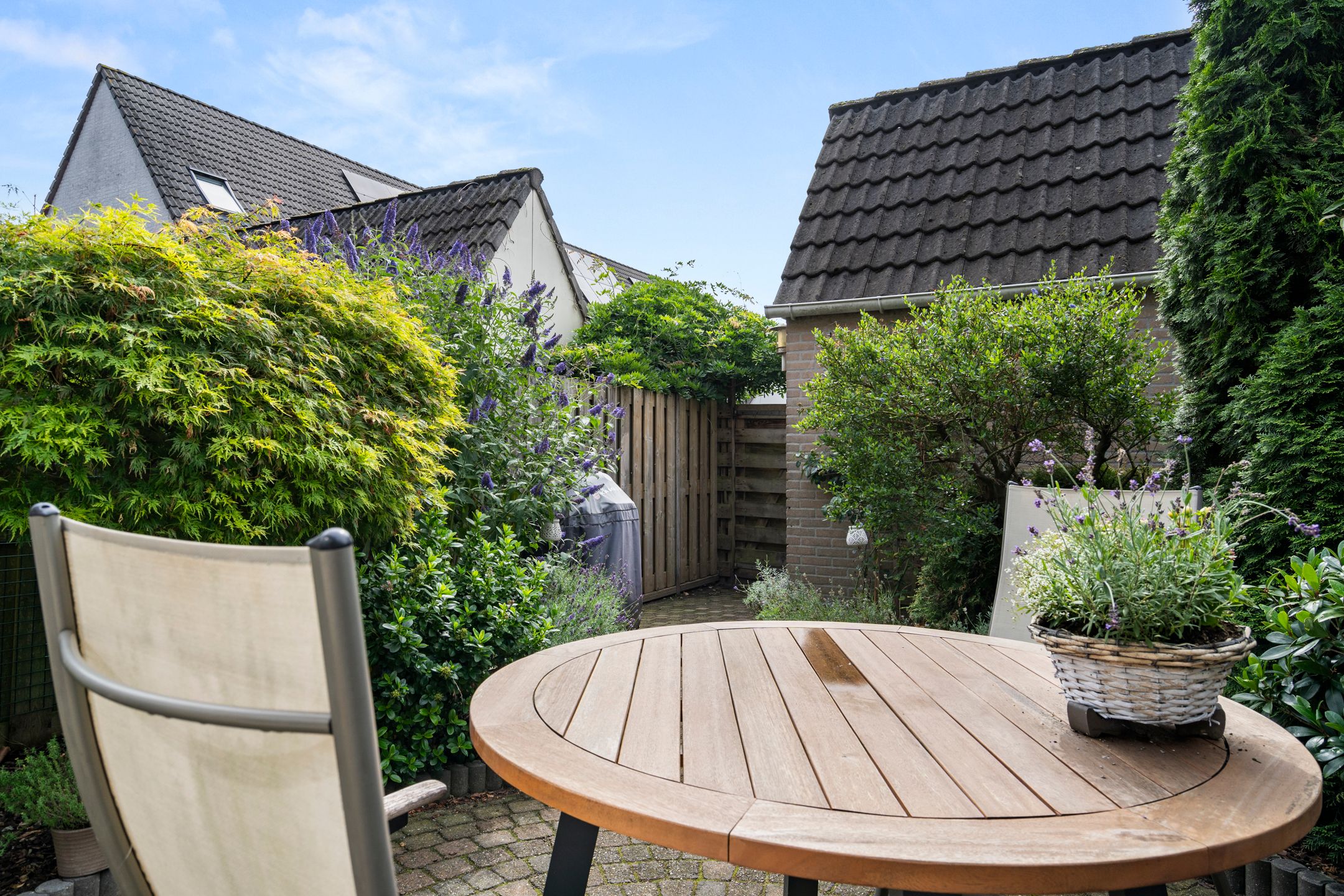 Foto 6 van Ooievaarsbek 52