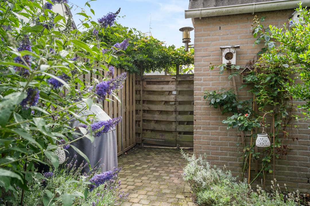 Foto 7 van Ooievaarsbek 52