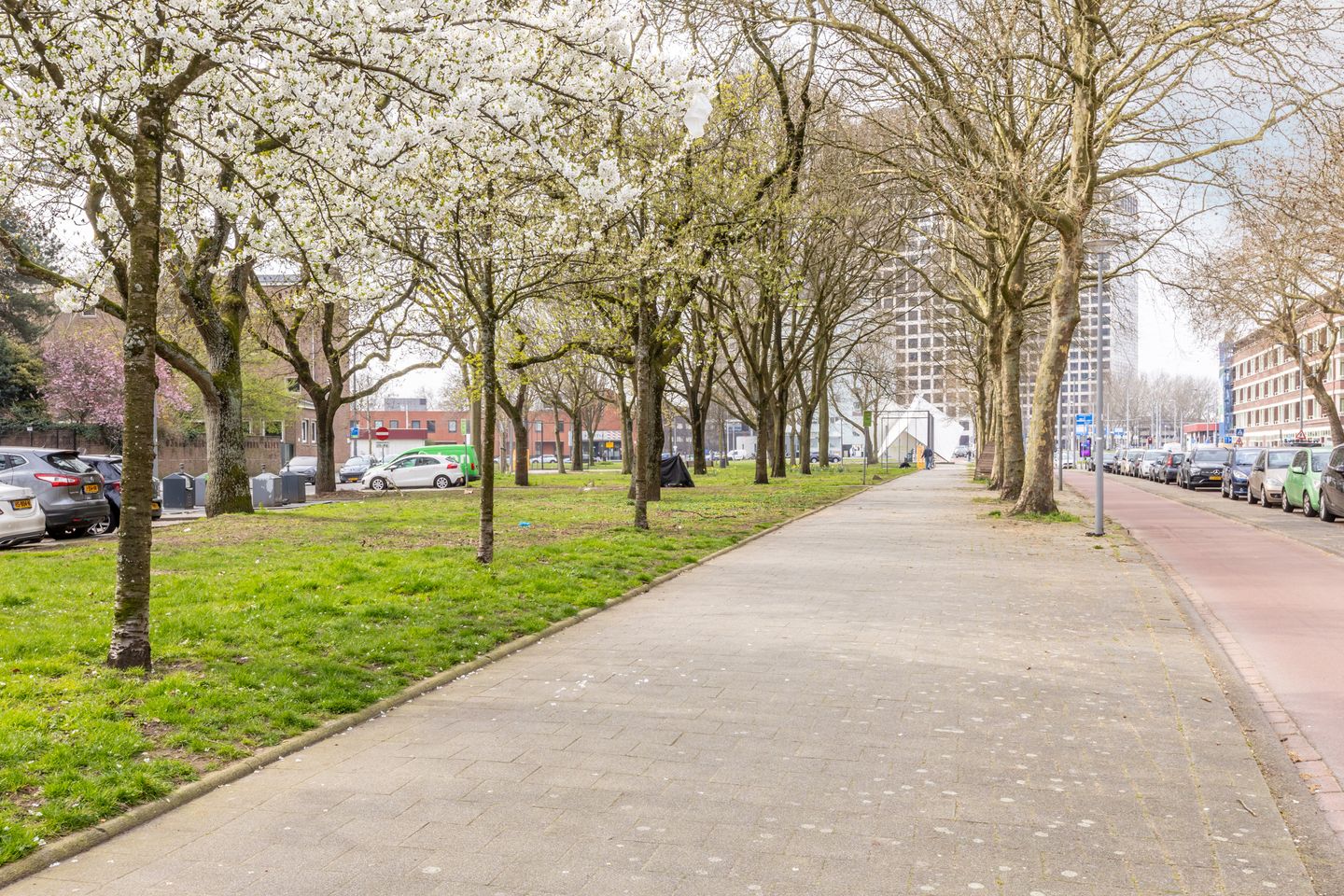 Foto 25 van Mathenesserweg 155-B02