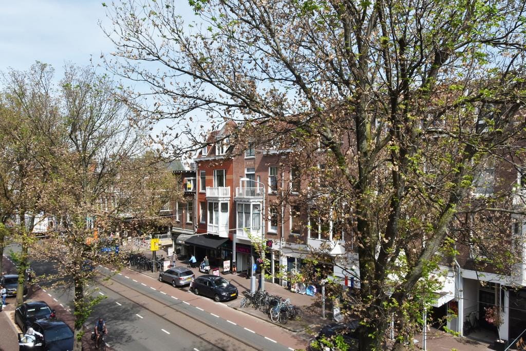 Foto 37 van Van Beuningenstraat 49-A