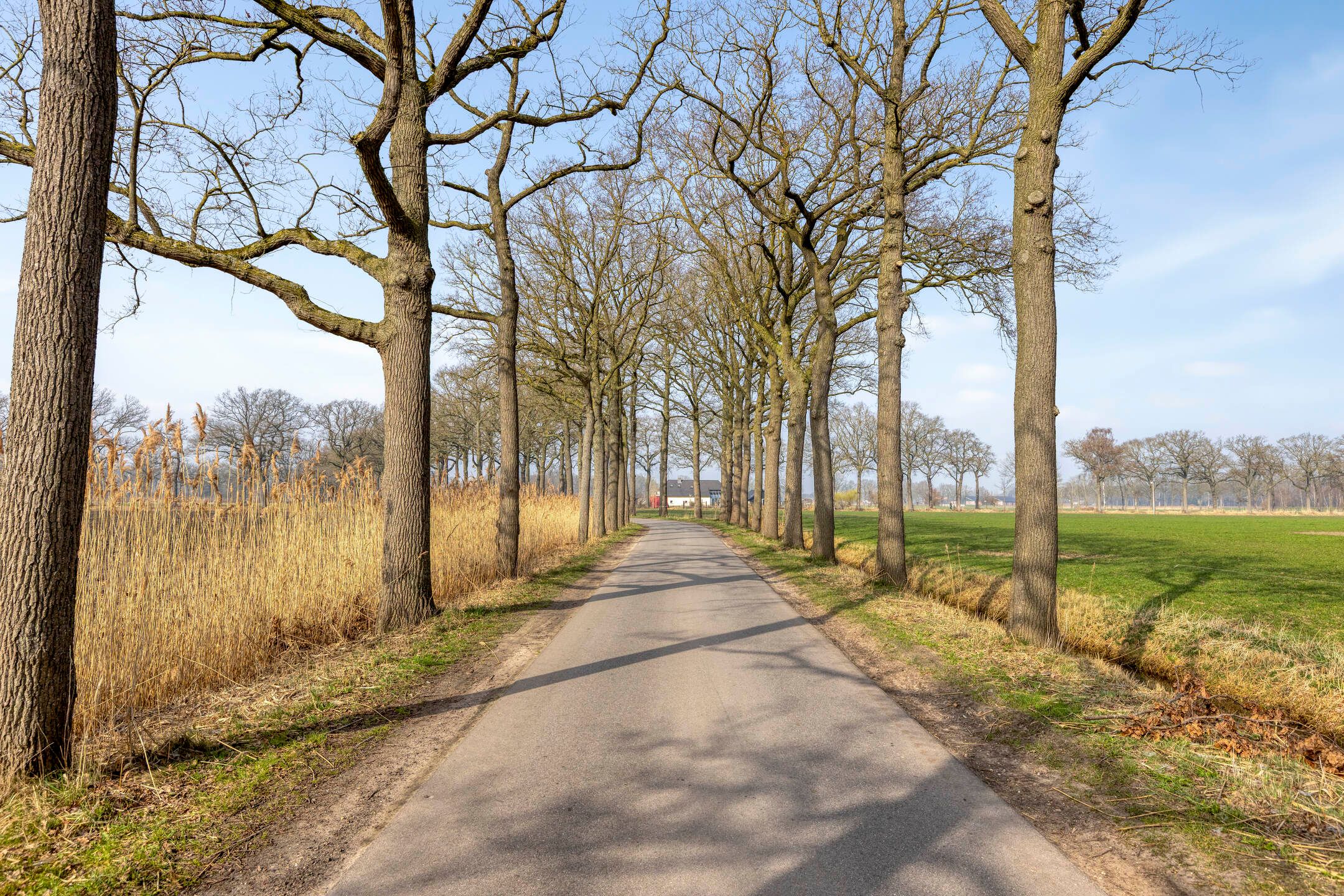 Foto 78 van Kameren 1-B