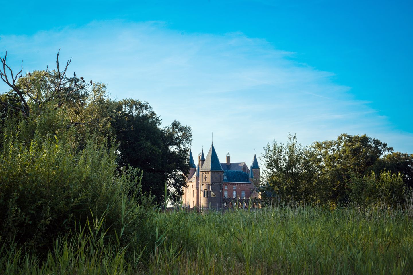 Foto 80 van Kameren 1-B