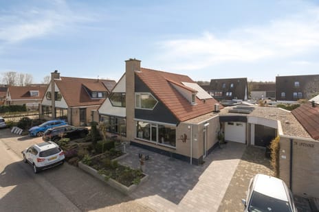 De Lipizzaner thumbnail