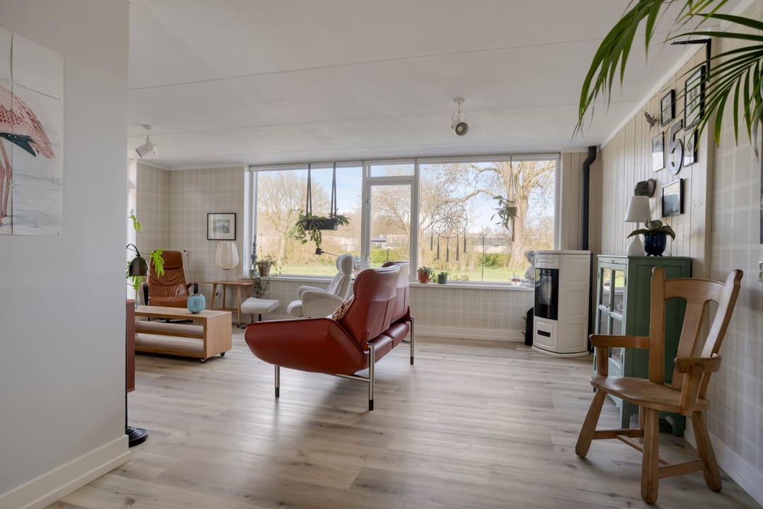 Photo 8 of De Lipizzaner 22