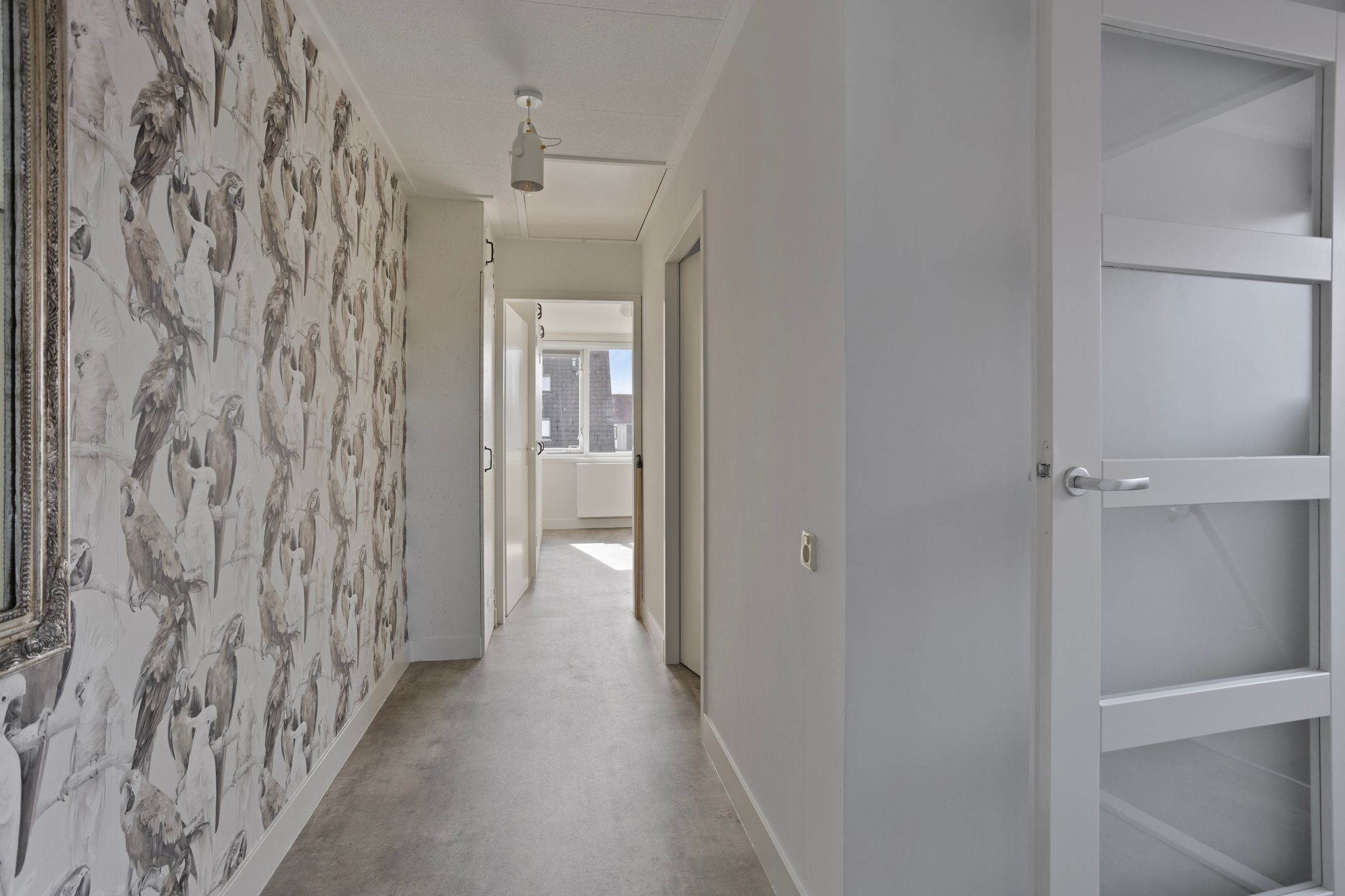 Photo 21 of De Lipizzaner 22