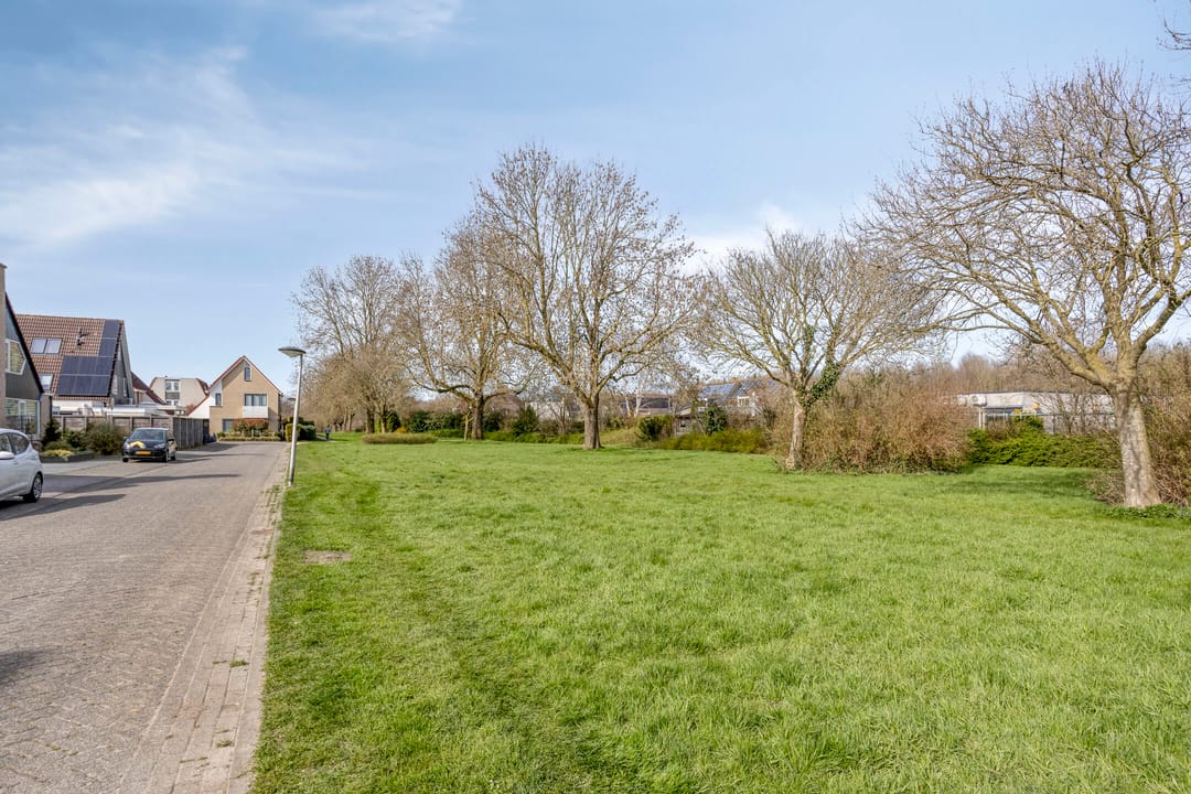 Photo 41 of De Lipizzaner 22