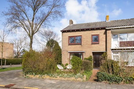 undefined main image