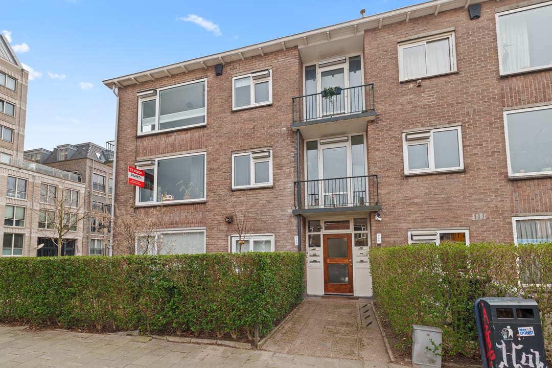 Foto 41 van David van Mollemstraat 3-2