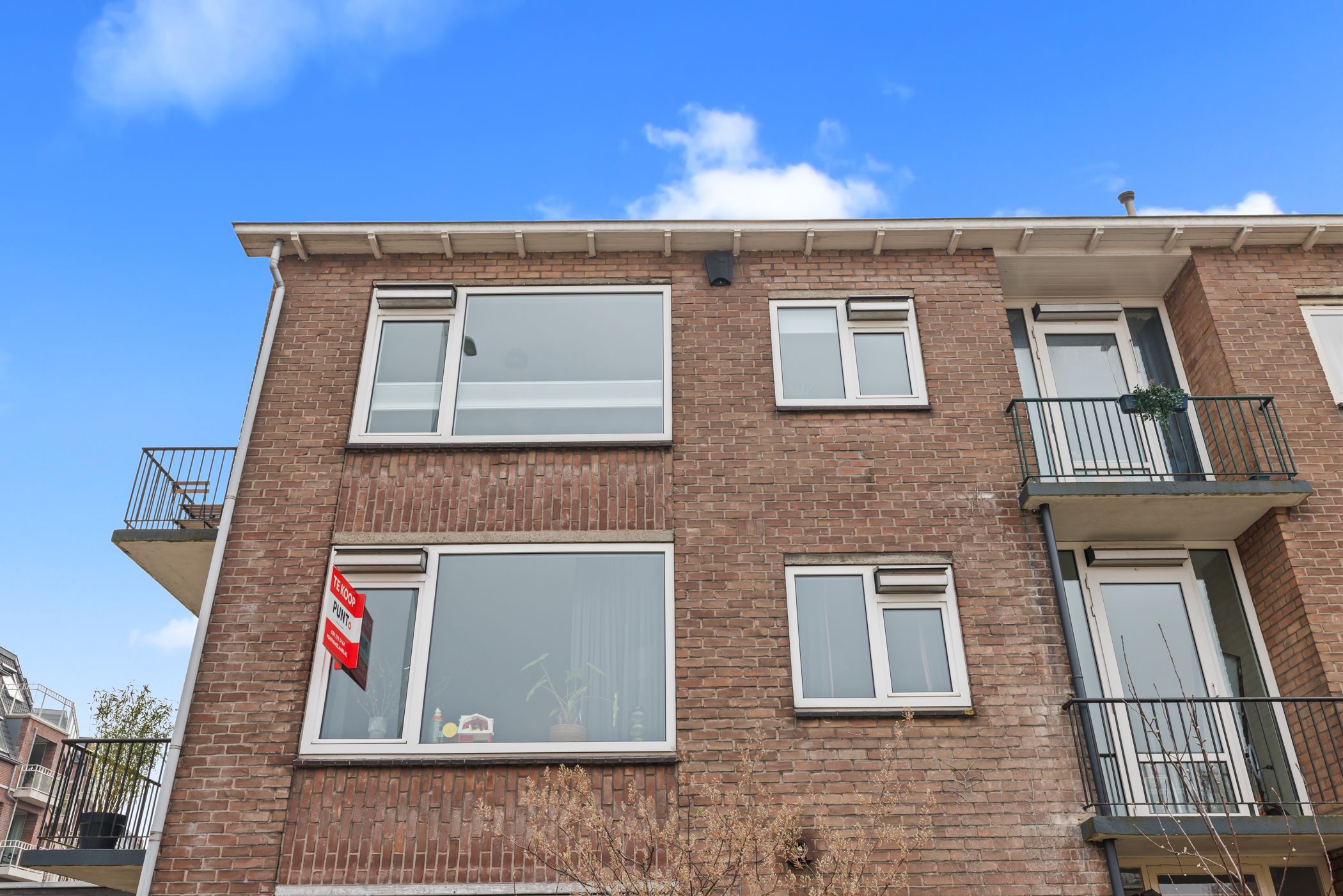 Foto 42 van David van Mollemstraat 3-2