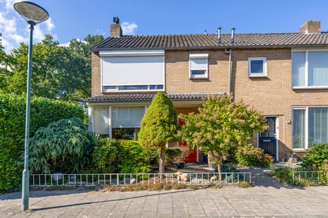 Van Buerenstraat thumbnail