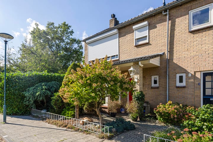 Foto 2 van Van Buerenstraat 1