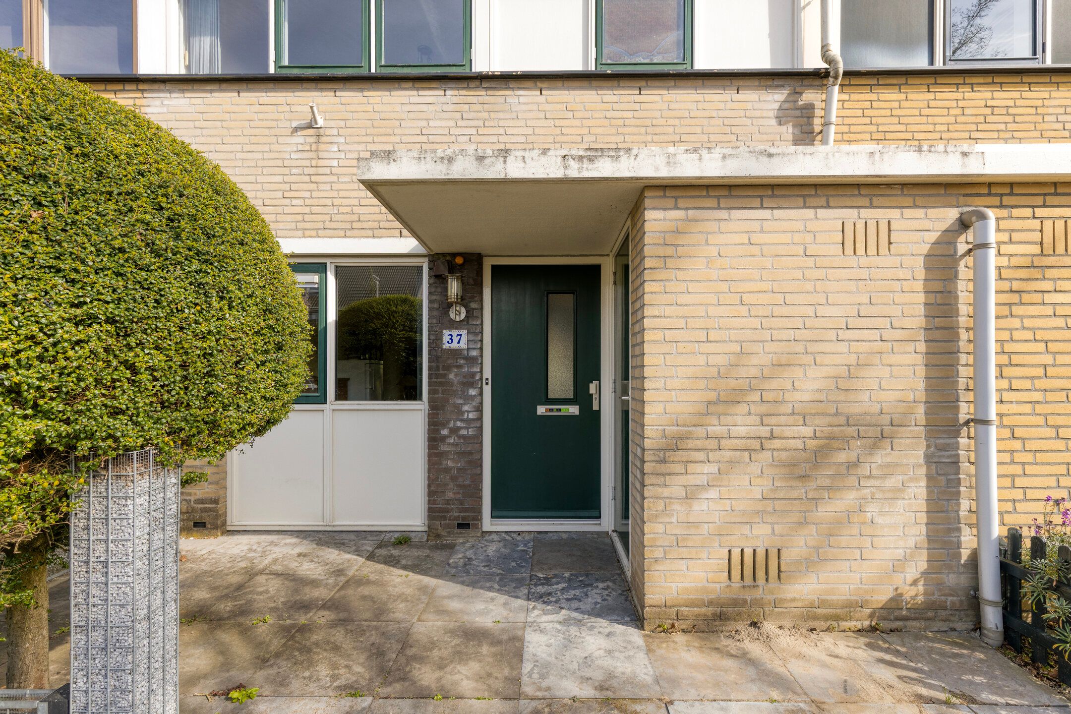 Foto 9 van Molenaar 37