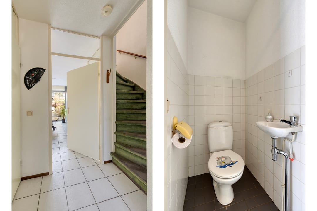 Foto 11 van Molenaar 37