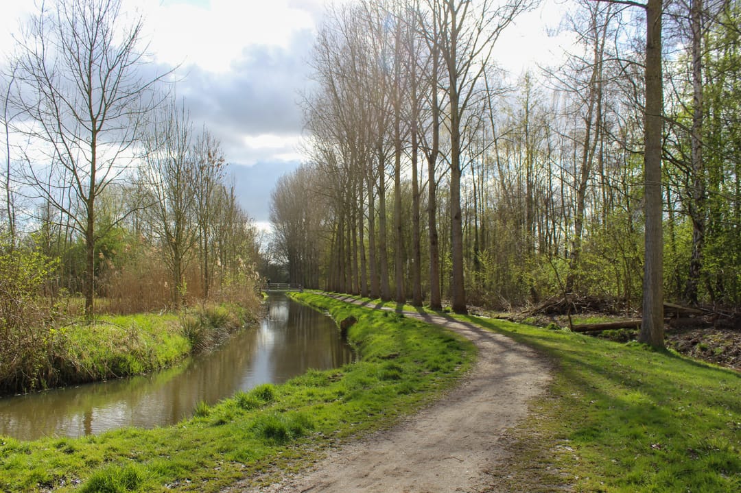 Foto 26 van Groenendijk 64