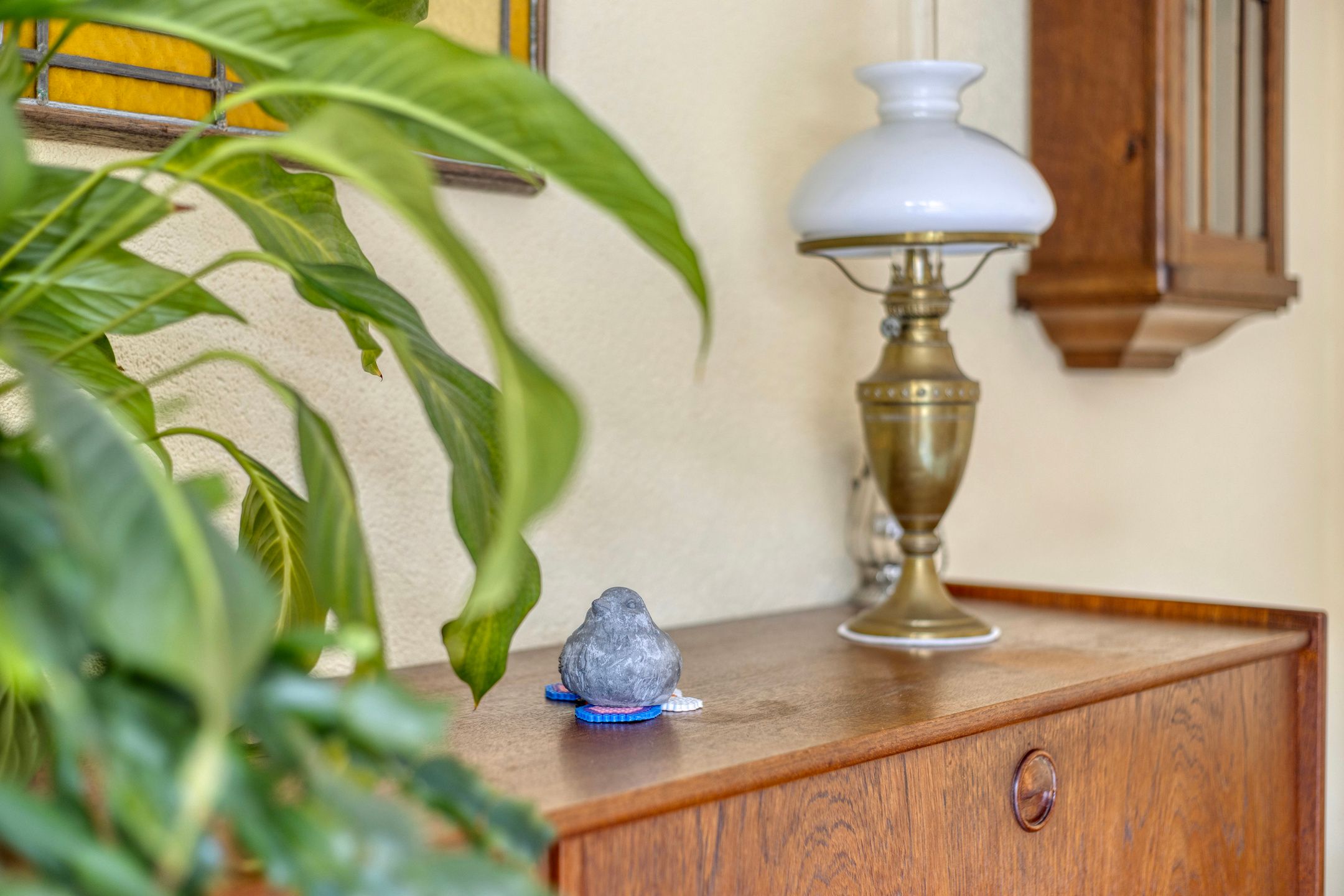 Foto 24 van Molenaar 37