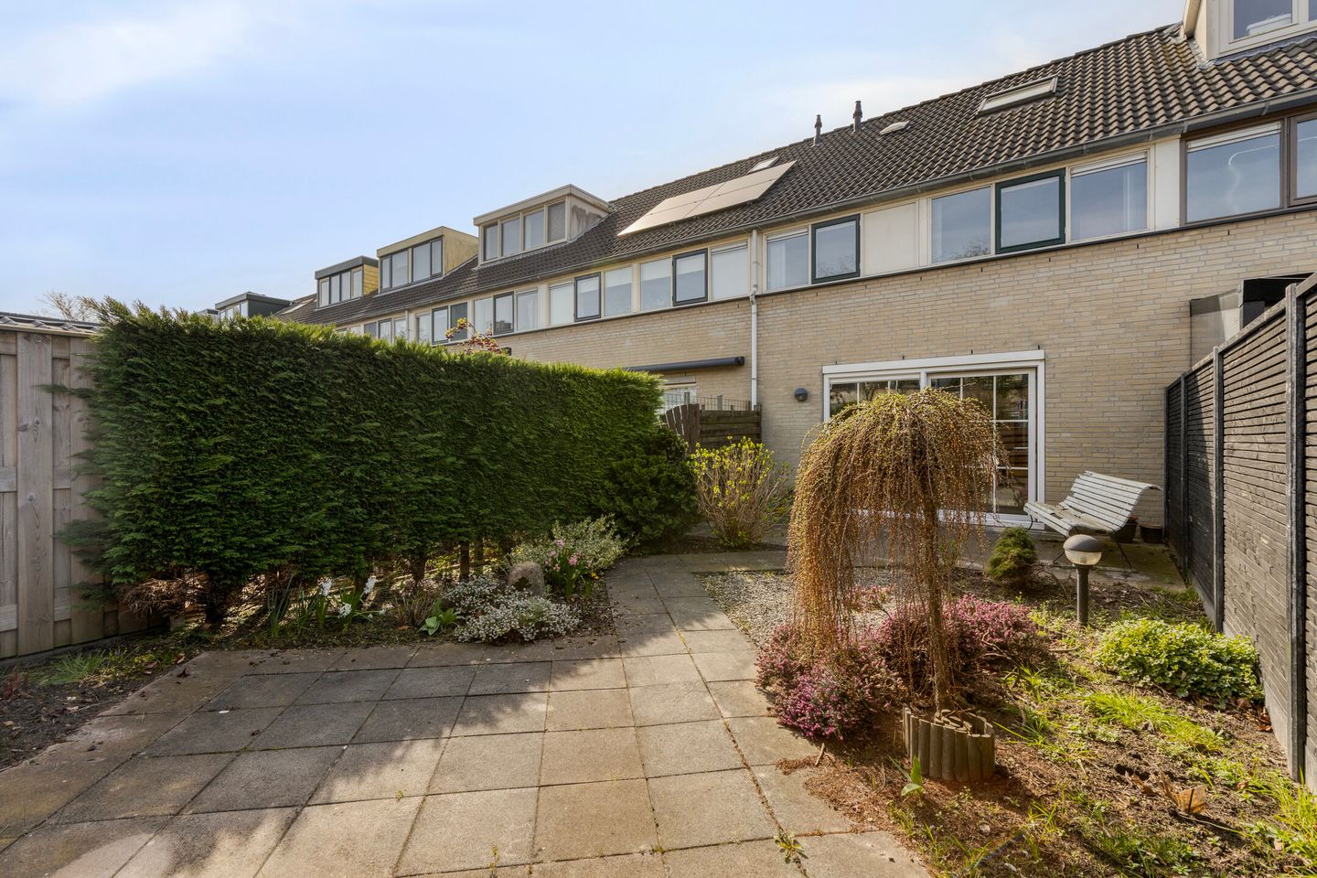 Foto 25 van Molenaar 37